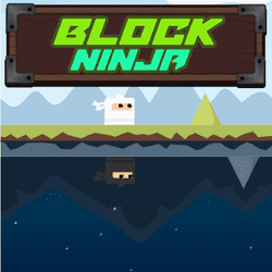 Block Ninja Spiel
