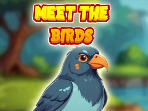 Triff die Vögel Spiel