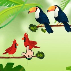 Vogelsortierspiel